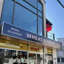 성현미트 이미지