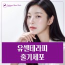 오크우드봄의원 | 청담 유셀테라피 줄기세포 왜 유명한 걸까? 뜻부터 알아보자