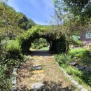 예술가들이 머무는 시선 이미지