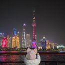 힐링&좋은일이가득한곳 | 🇨🇳🛫🌍 2박 3일 상해(상하이) 여행 후기 — 감성 가득한 도시 속 힐링 타임