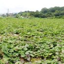 자동차주치의 닥터윤 이미지