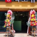 백초밥 - 서구 구덕로222번길 15 | 백초밥