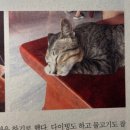 동방세탁소 | 소명학교의 교실은 국경 너머에도 있다/7인 7색 배낭여행, 신앙과 자립의 학교 밖 수업