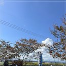 씨스페이스 남양만남의광장점 이미지