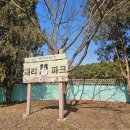 청라캠핑파크 | 인천 애견 캠핑장 벚꽃 명소 해리파크에서 캠크닉