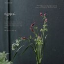 플로라&디자인스쿨 이미지