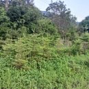 반제농장 이미지