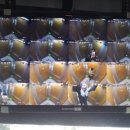 (주)아이비엠씨 이미지