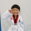 용인대박사태권도 2관 이미지