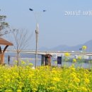 한강시민공원(파고라 쉼터) 이미지