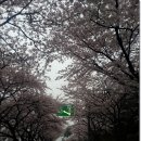 설천 이미지