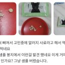 벌레 주의 🐛사료 먹이기 전 체크사항‼️ 로얄코코 사료 샘플 확인 이미지