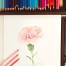 기초부터 완성까지, 색연필 스케치 이미지