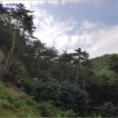 삼달2리마을회관 이미지