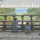 (주)해송온천 | 월송정 / 울진 후포 현지인이 추전하는 힐링 명소, 아이와 산책하기 좋은 바다가 보이는 소나무숲길