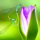 뽀뽀뽀유치원 이미지