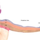 청연한의원 이미지