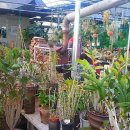 다산농원 이미지