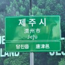 GS25당진우두점 | 제주 당일치기 저녁?🍊 | 비행기 안 타고 제주 먹방 다녀온 후기 | 당진 맛집 • 당진 고깃집 제줏간 추천