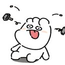 해피 제이