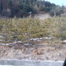 기태농장 이미지