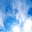 양평쉬자파크 이미지