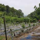 수석농장 이미지