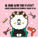 예몽 이미지