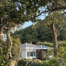이보목장 | [제주 서귀포 독채펜션] 고갠드르 보목점 :: 내부, 외부 및 주변 산책로(보목포구)
