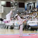 세계로 국제태권도 이미지