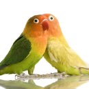 잠실동물병원 이미지