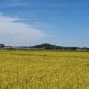 기산2리 마을회관 | 평택 기산리산성(平澤 妓山里山城)