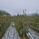 주왕산관광지(민예촌) 이미지