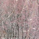 분당야탑3-A-6 이미지