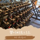 피트니스신요가 | 부산 시청 헬스장 첼시피트니스, 여성 전용 스트레칭존과 줌바·요가 GX 프로모션 정리