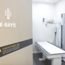 마디튼튼마취통증의학과의원 이미지