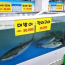 신기종합어시장 회포장 전문점 네이버블로그