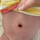 맘마미아 | 산후도우미업체, 인천산후도우미 맘마미아 이용후기