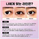 아웃라인