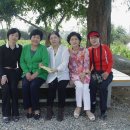 연한가지공동체 이미지