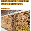 바짝잘마른 캠핑용 참나무장작 이미지