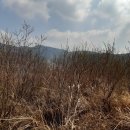 비지1리 이미지