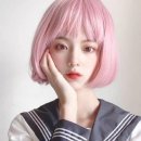 시크코스메틱 이미지