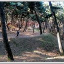 선화공주 Daum카페