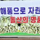 돌산갓장터마을 이미지