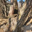 음양2리 이미지