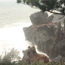 풍림농원 이미지