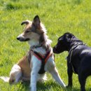 카밍테이블 이미지