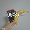 2025 빵빵런 하프 마라톤 후기