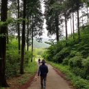 아리숲펜션 이미지